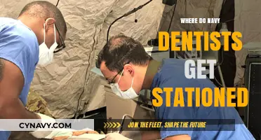 Exploring Navy Dentist Stationing: Locations and Deployment Opportunities