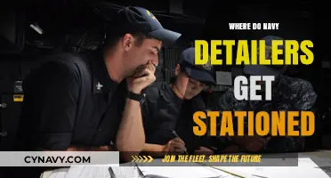 Where Navy Detailers Are Stationed: Locations and Assignment Insights