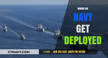 Exploring Global Navy Deployment Locations and Strategic Missions