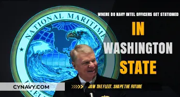 Navy Intel Officers' Washington State Duty Stations: Locations and Insights