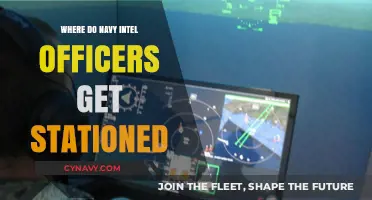 Exploring Global Assignments: Where Navy Intel Officers Get Stationed