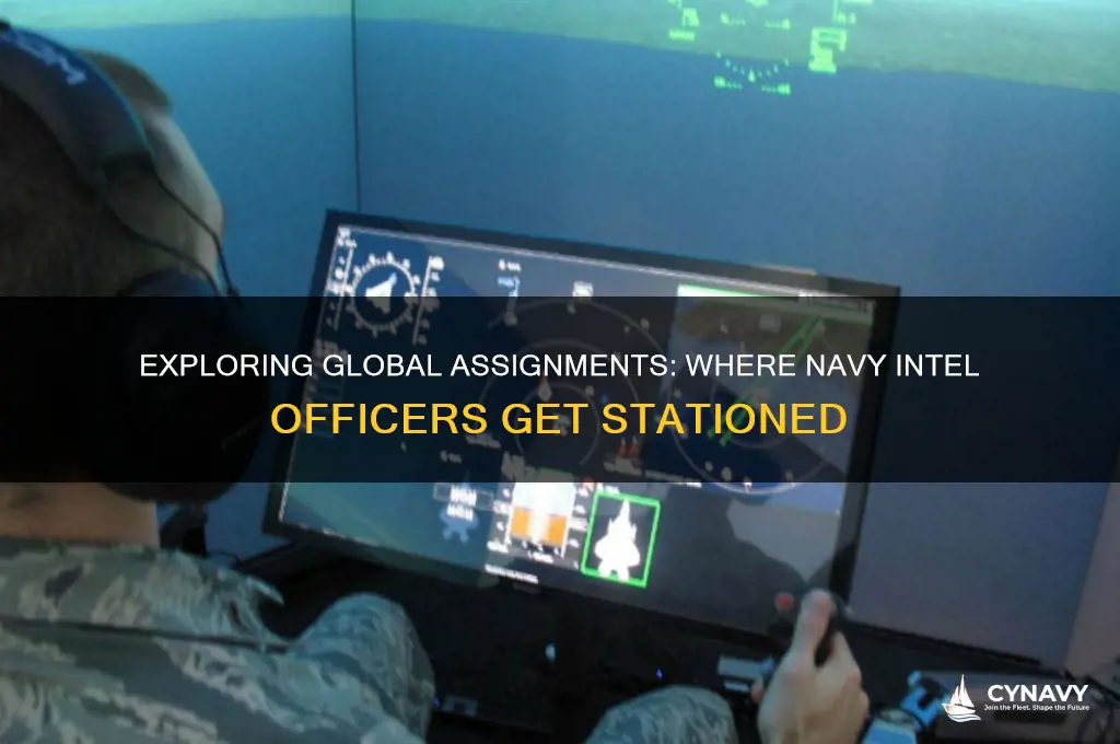 where do navy intel officers get stationed
