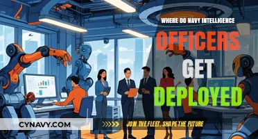 Where Navy Intelligence Officers Serve: Deployment Locations and Missions