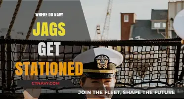 Where Navy JAGs Serve: Global Stationing and Deployment Insights