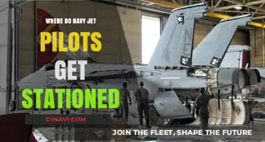 Where Navy Jet Pilots Are Stationed: Global Bases and Assignments