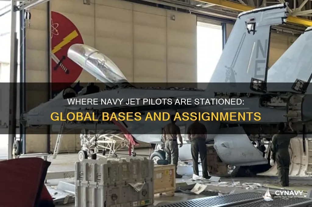 where do navy jet pilots get stationed