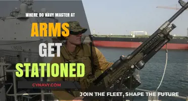 Where Navy Master-at-Arms Serve: Station Assignments Explained
