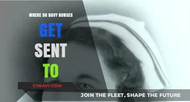 Where Navy Nurses Serve: Deployment Locations and Missions Explained
