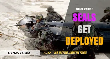 Where Navy SEALs Deploy: Global Missions and Strategic Operations Explained