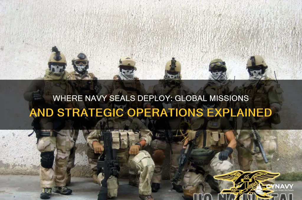 where do navy seals get deployed