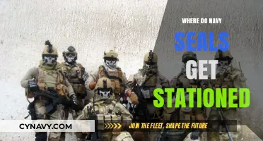 Where Do Navy SEALs Get Stationed: Deployment Locations Explained