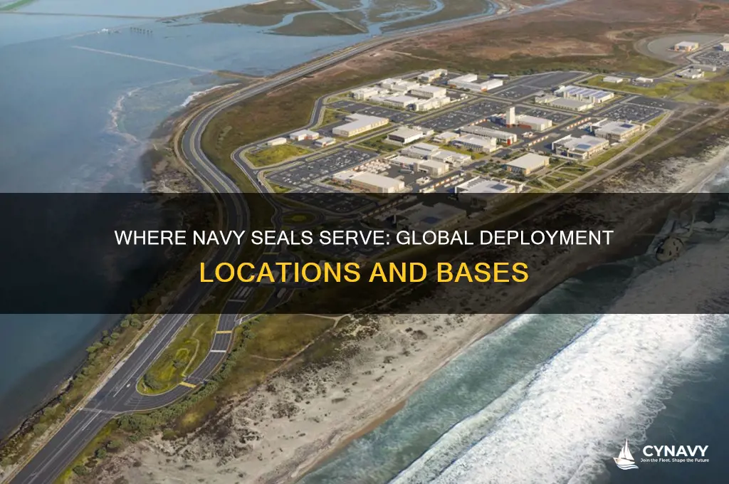 where do navy seals usually get stationed