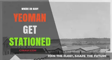 Where Navy Yeoman Get Stationed: Locations and Deployment Insights