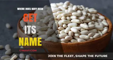 Unveiling the Origin: The Surprising Story Behind Navy Beans' Name