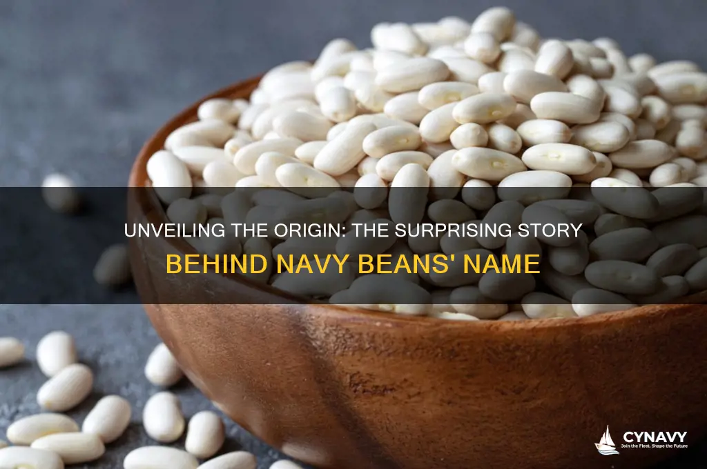 where does navy bean get its name