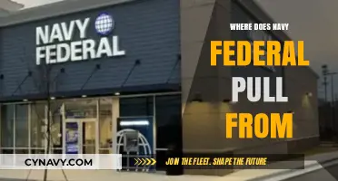 Exploring Navy Federal's Financial Sources: A Comprehensive Guide