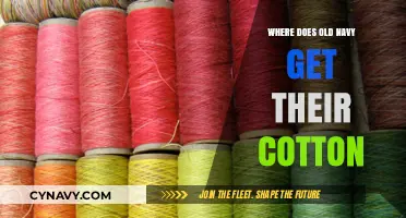 Where Does Old Navy Source Its Cotton? A Supply Chain Overview