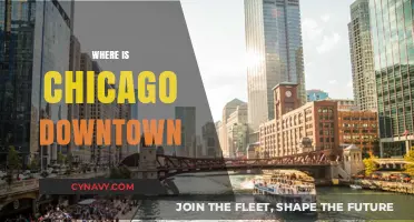 Exploring Chicago's Downtown: A Guide to the Windy City's Heart