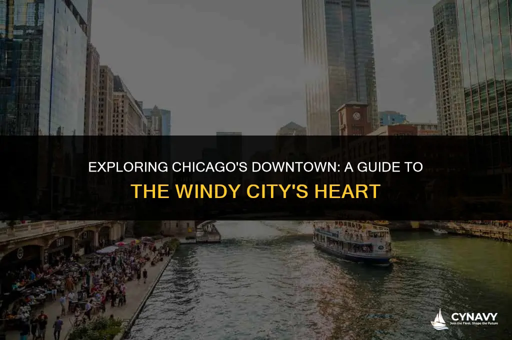 where is chicago downtown
