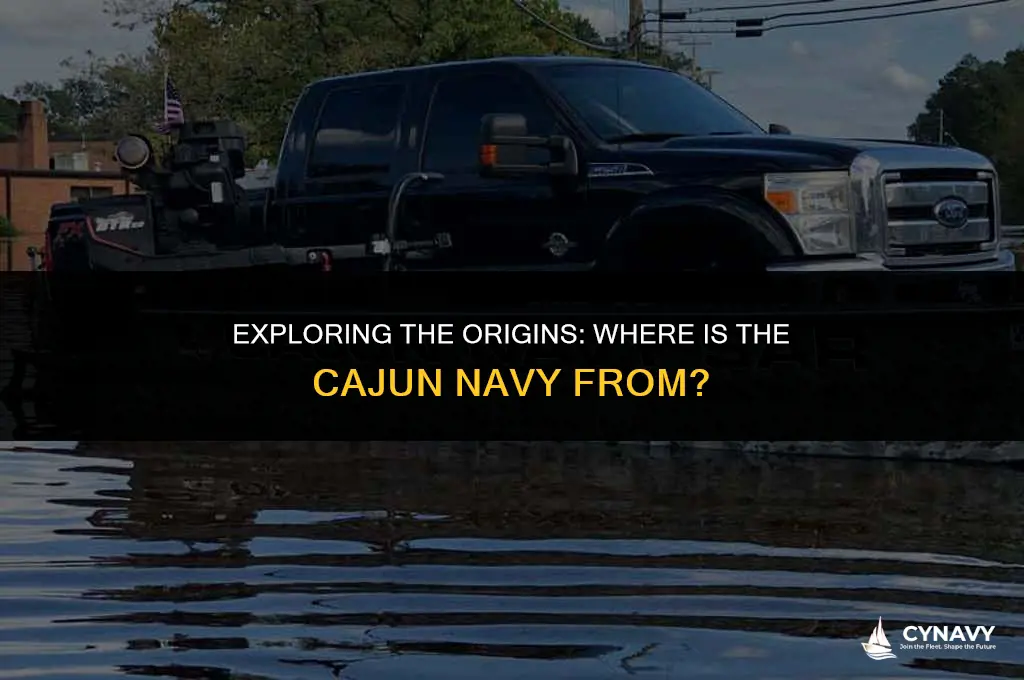 where is the cajun navy from