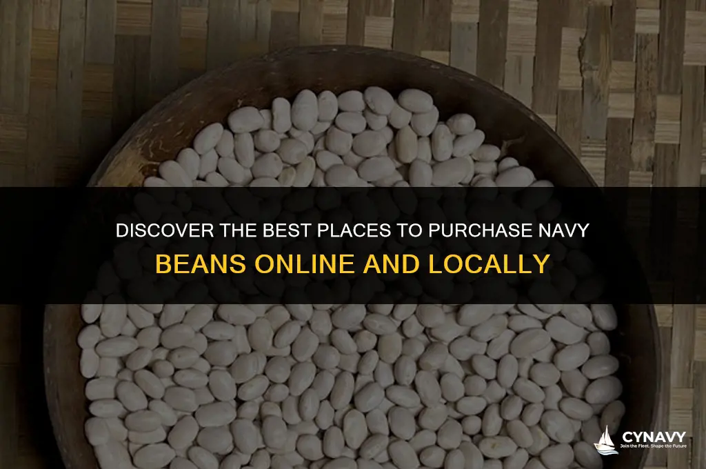where to buy navy beans