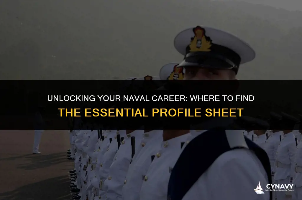 where to find navy profile sheet