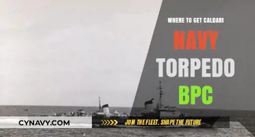 Caldari Navy Torpedo BPC: Top Locations to Acquire This Rare Blueprint