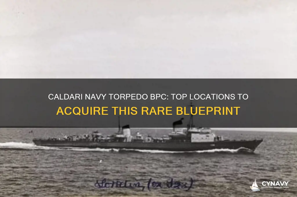 where to get caldari navy torpedo bpc