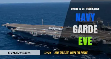 Where to Find Federation Navy Guard in EVE Online: A Guide