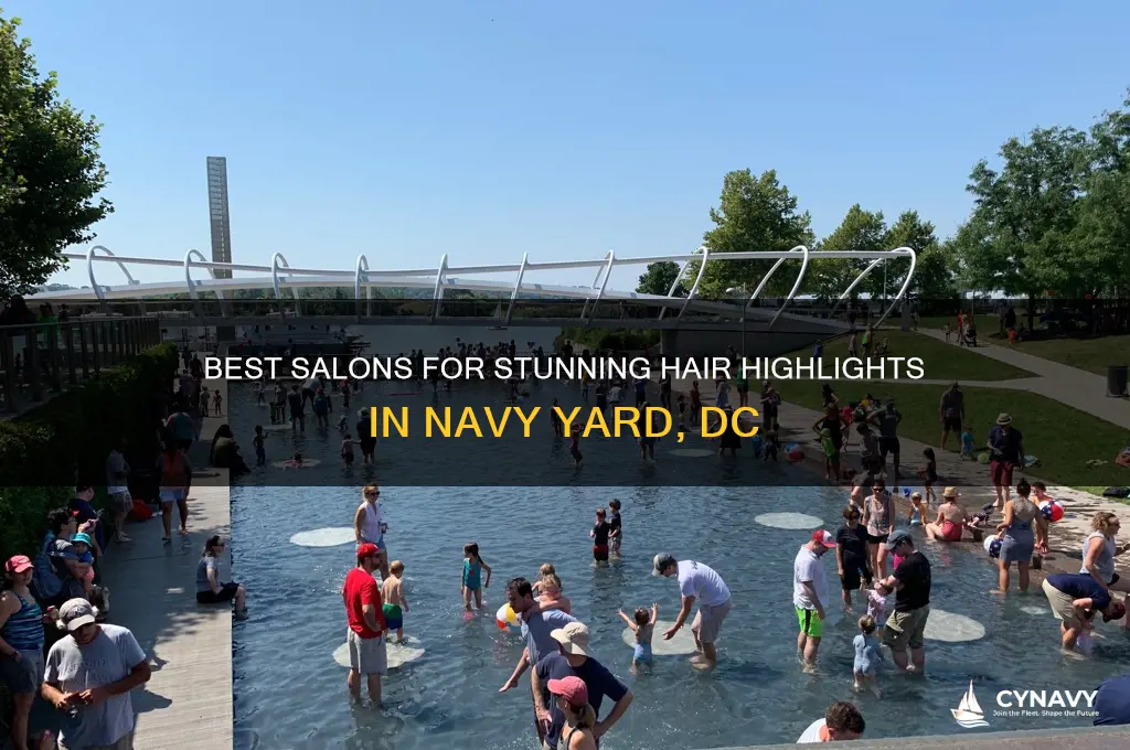 where to get highlights navy yard dc