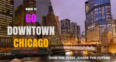 Exploring Downtown Chicago: Top Spots and Hidden Gems
