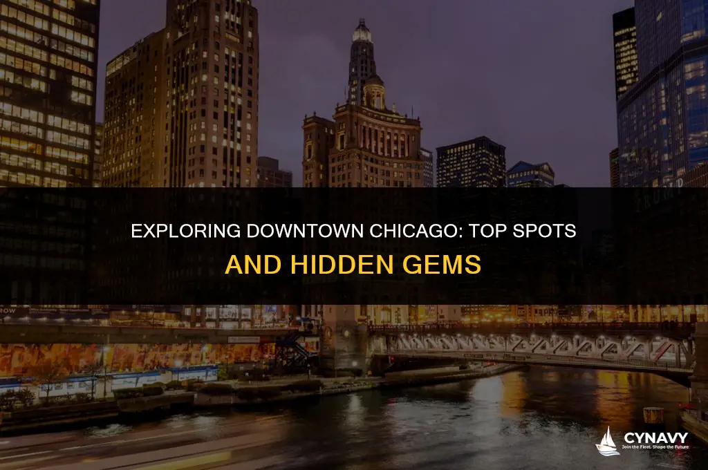 where to go downtown chicago