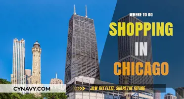 Discover Chicago's Best Shopping Spots: A Local's Guide