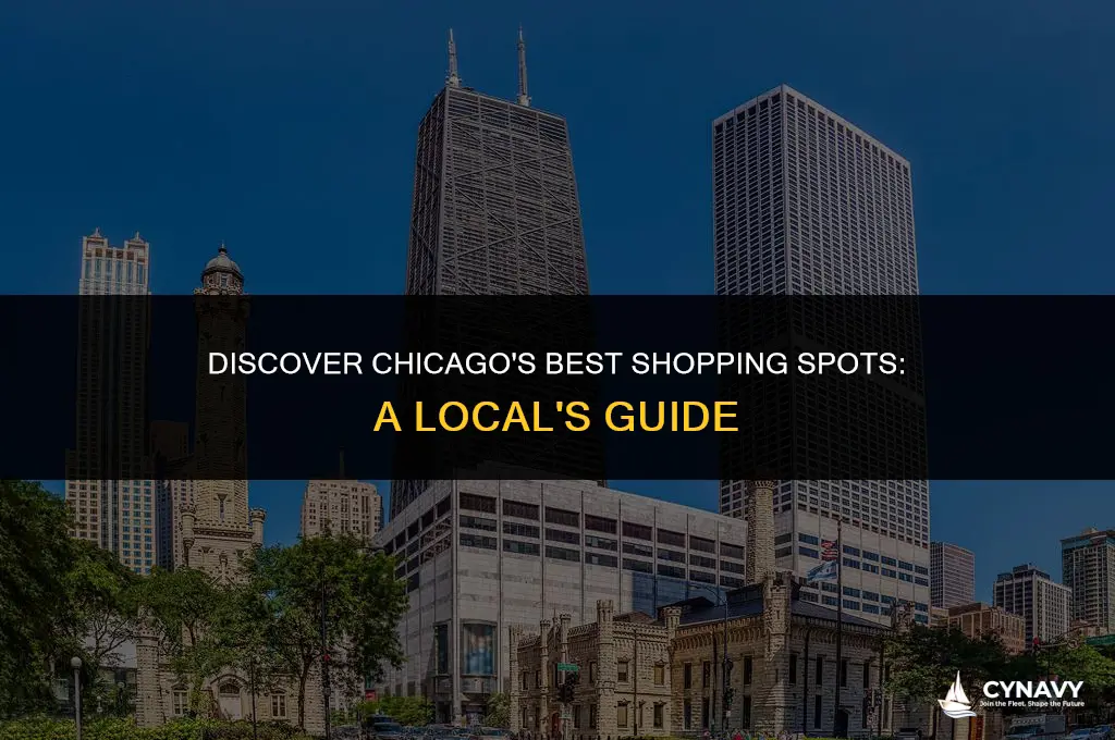 where to go shopping in chicago