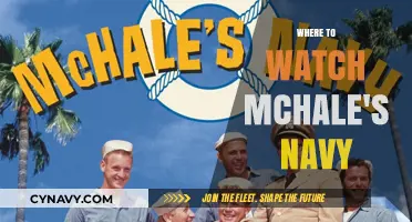 Exploring the Best Platforms to Stream McHale's Navy Online