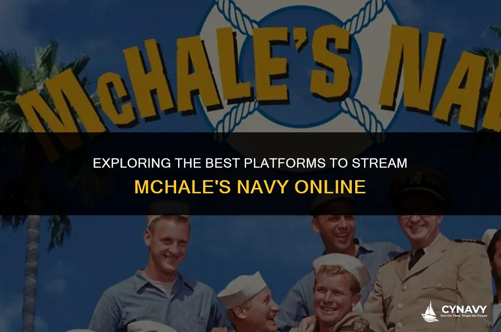 where to watch mchale
