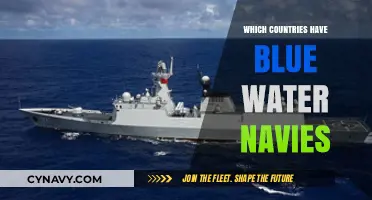 Exploring the Elite: Nations with Formidable Blue Water Navies