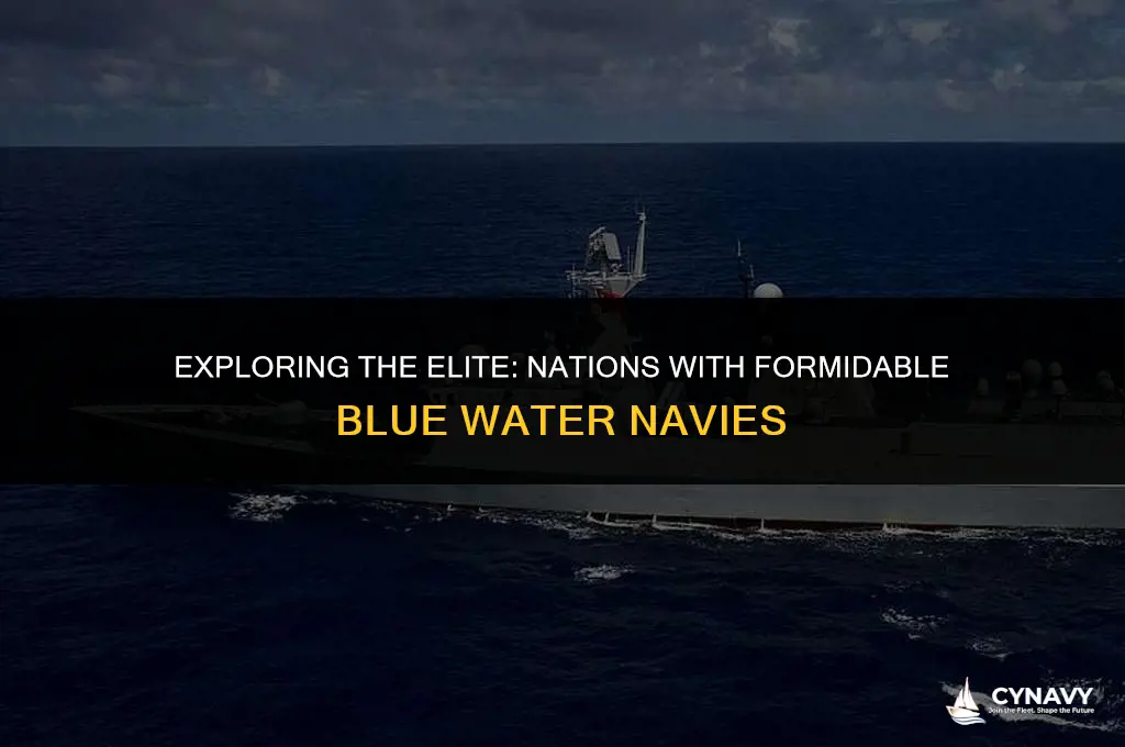 which countries have blue water navies