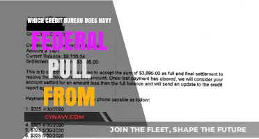 Decoding Credit Reports: Which Bureau Does Navy Federal Use?