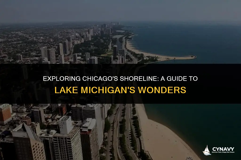 which lake is chicago on