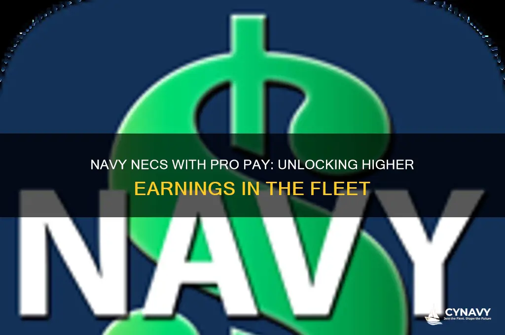 which navy necs get pro pay