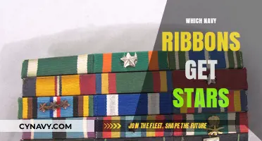 Navy Ribbons with Stars: Understanding Military Awards and Decorations