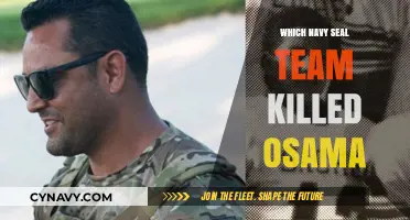 Operation Neptune Spear: The Navy SEAL Team Behind Osama's Demise