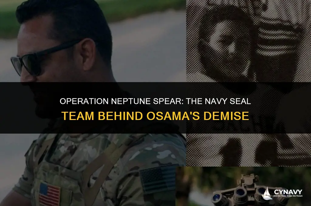 which navy seal team killed osama