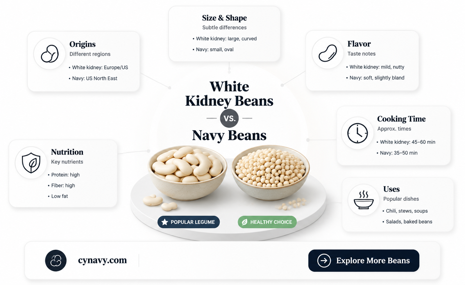 are white kidney beans the same as navy beans