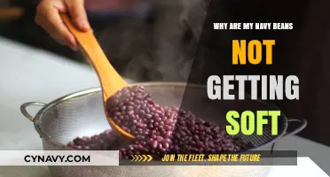 Troubleshooting Navy Beans: Why They’re Not Softening and How to Fix It