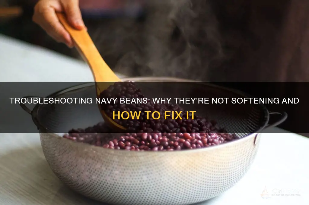why are my navy beans not getting soft
