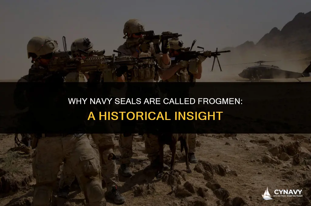 why are navy seals called frogmen
