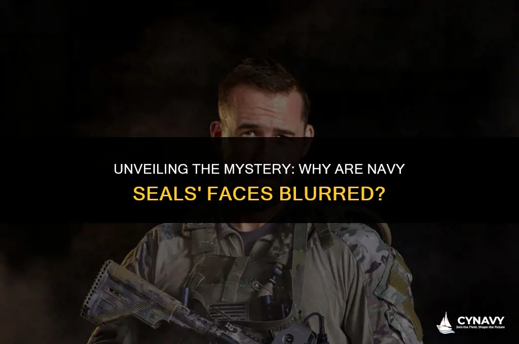 why are navy seals faces blurred