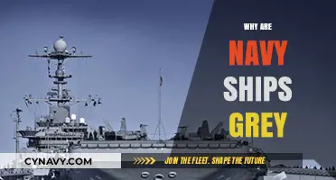 The Stealthy Side of Seafaring: Why Navy Ships Embrace the Grey